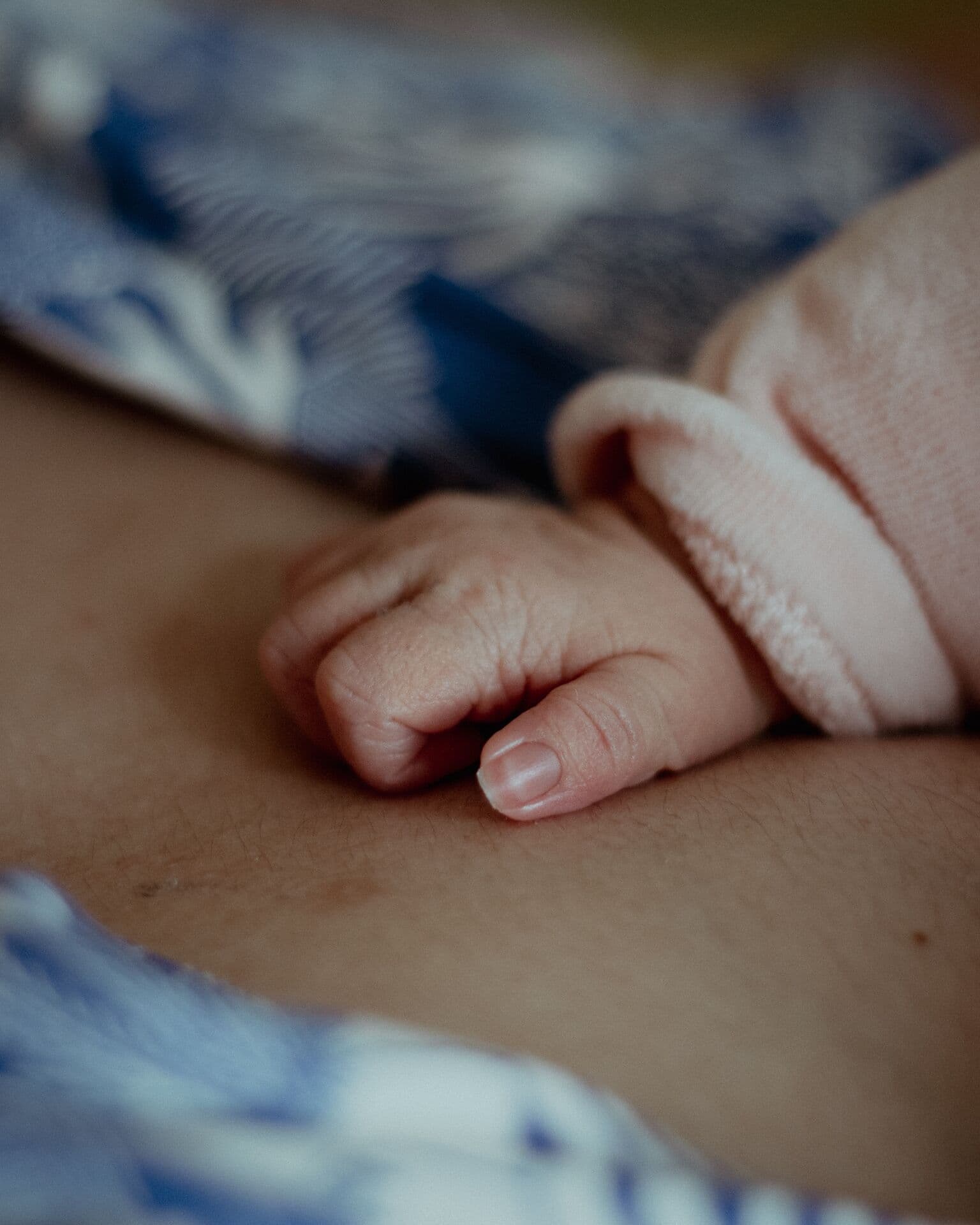 A newborn's hand resting on a parent's finger