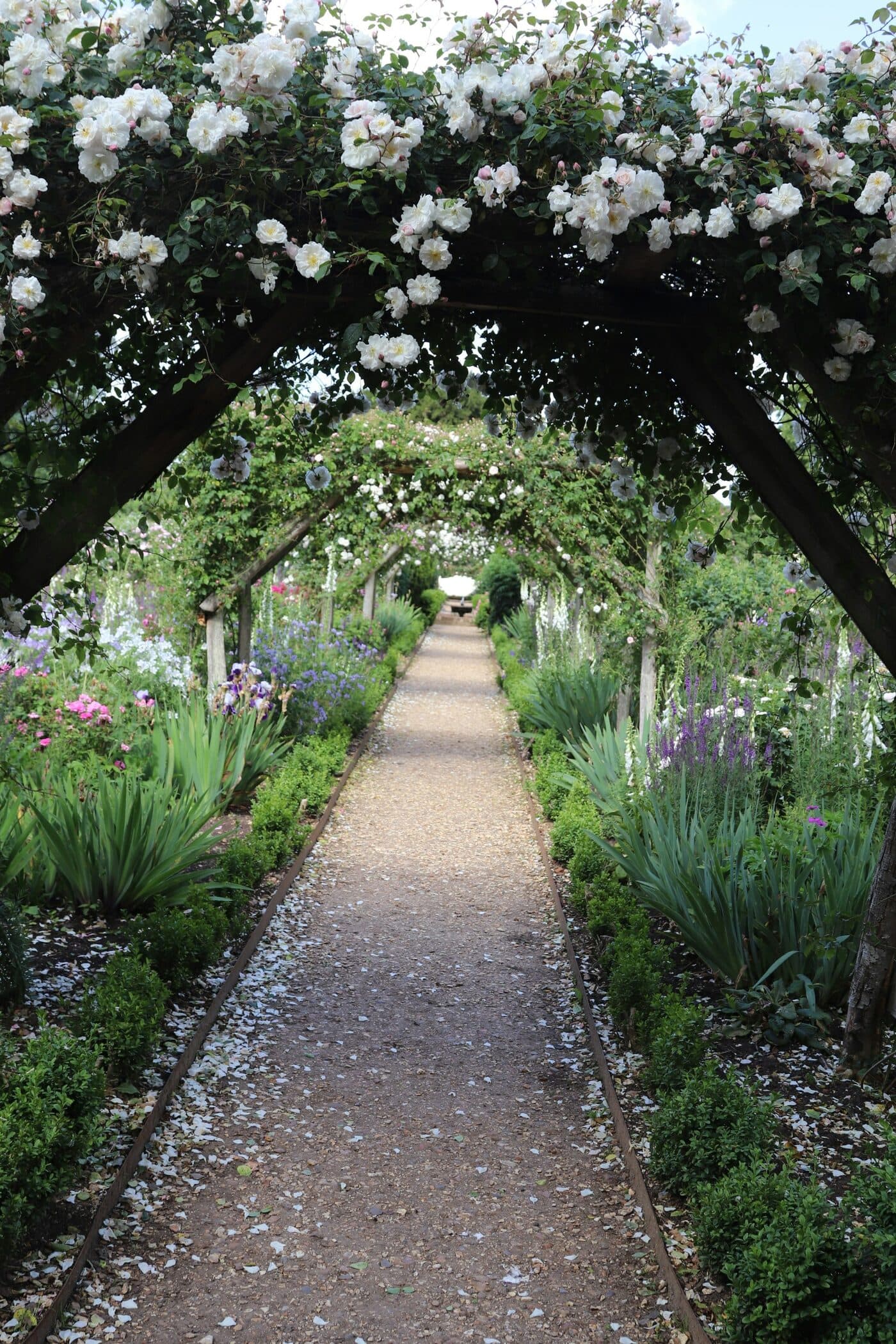 A rose pergola path winding into an English garden